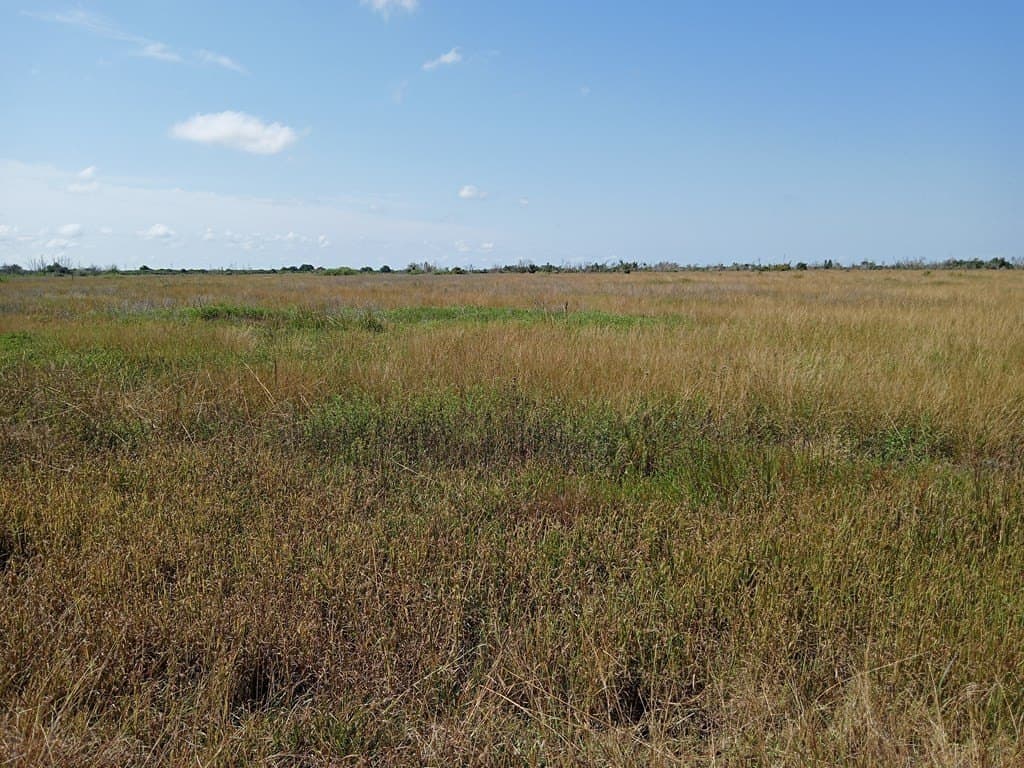 10 acres in Texas County - photo 3