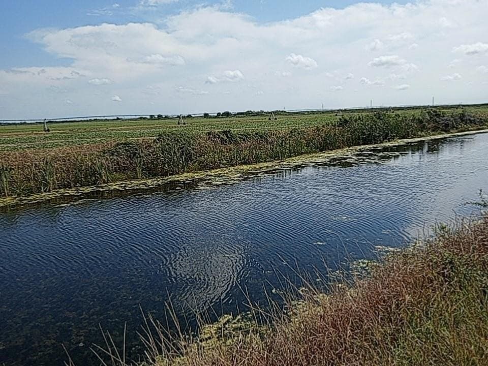 10 acres in Texas County - photo 2