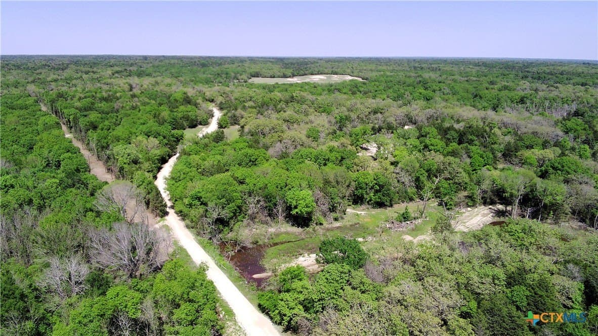 107 acres in Limestone County - photo 10