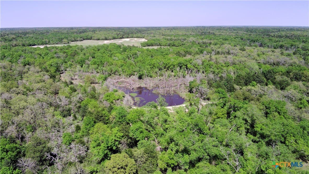 107 acres in Limestone County - photo 2