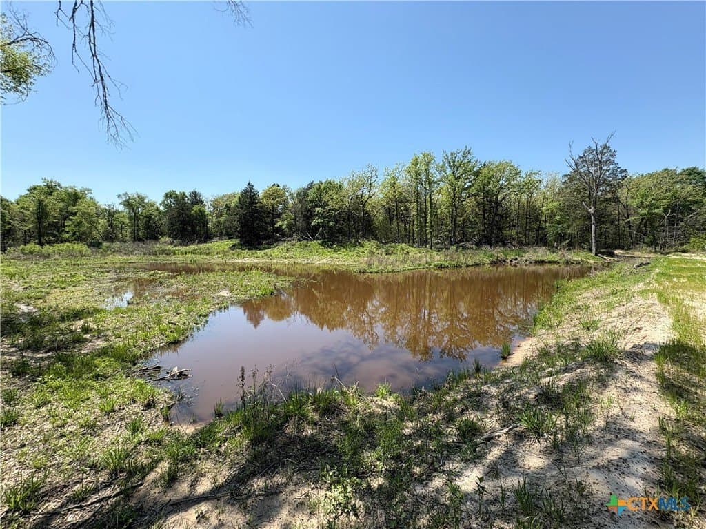 107 acres in Limestone County - photo 6