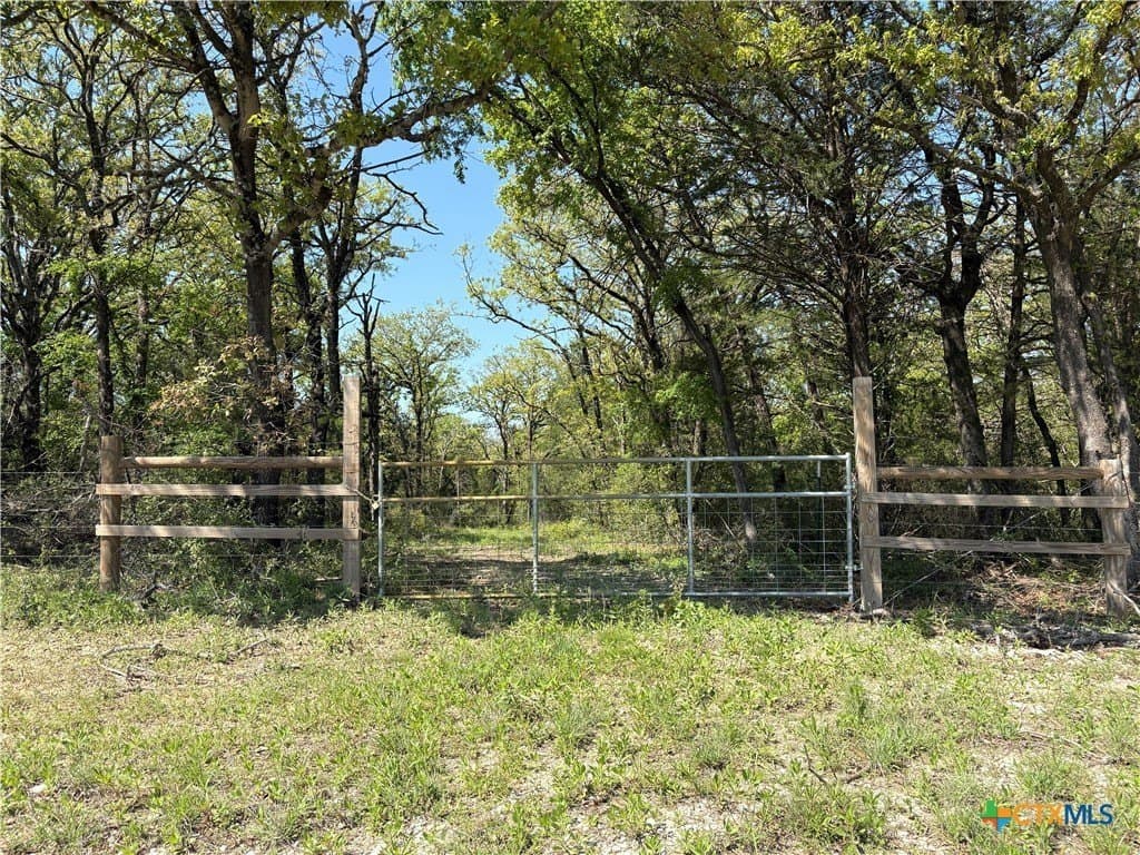 107 acres in Limestone County - photo 38