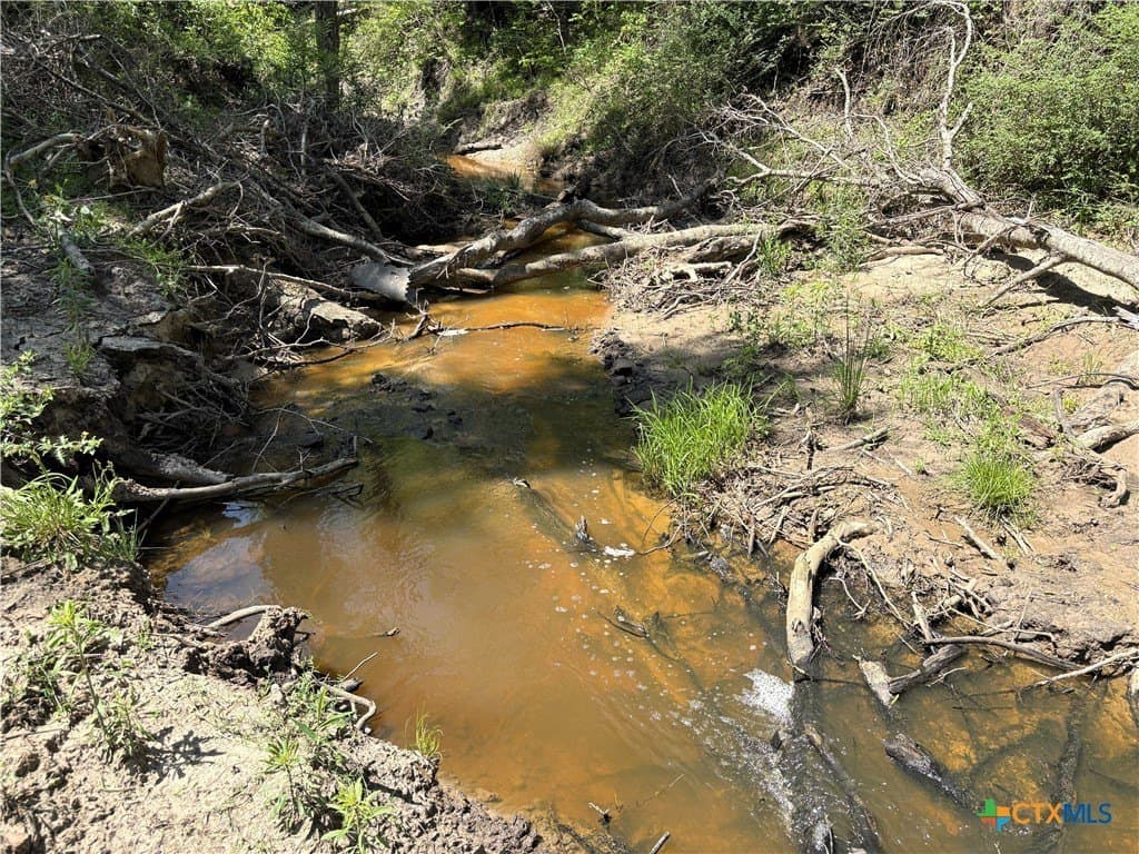 107 acres in Limestone County - photo 9