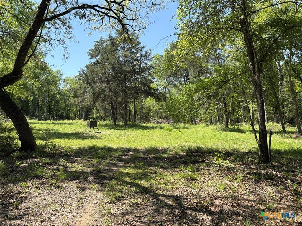 107 acres in Limestone County - photo 12