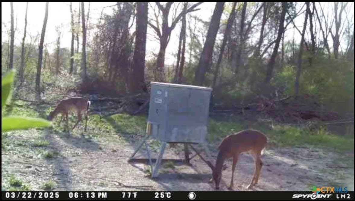 107 acres in Limestone County - photo 18