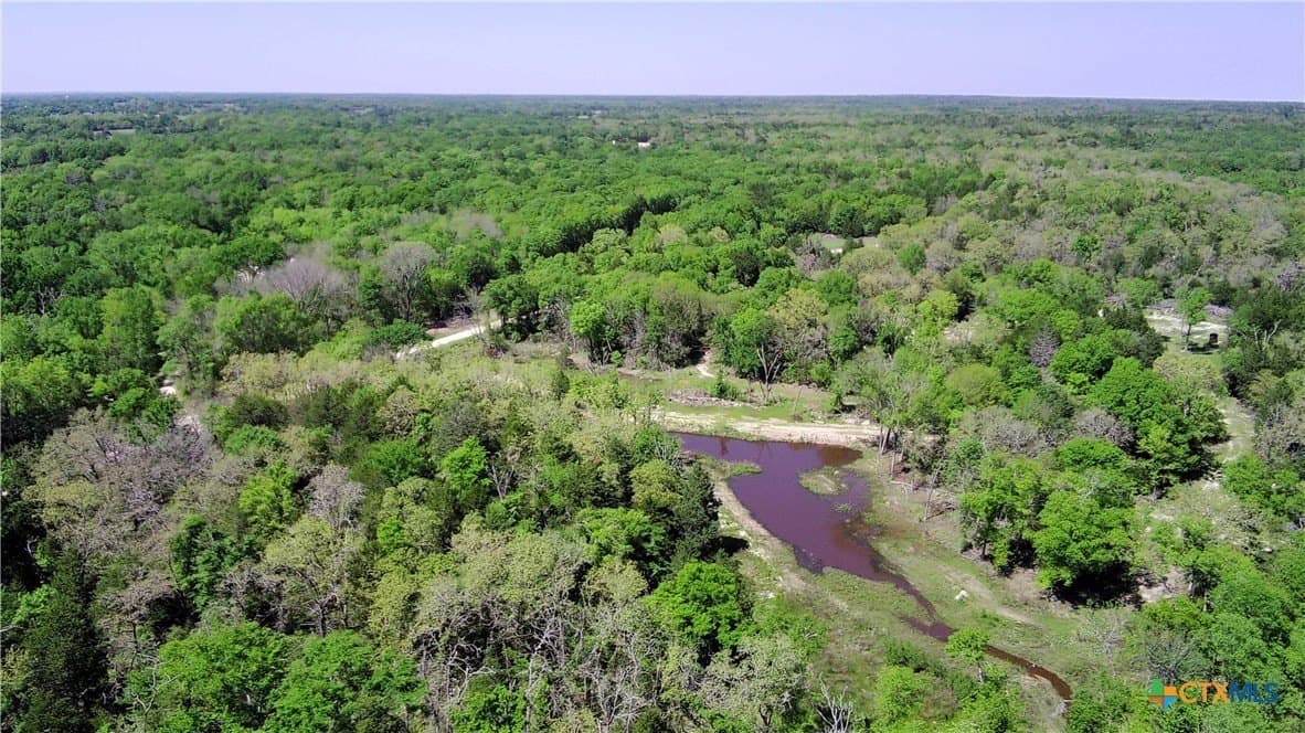 107 acres in Limestone County - photo 5