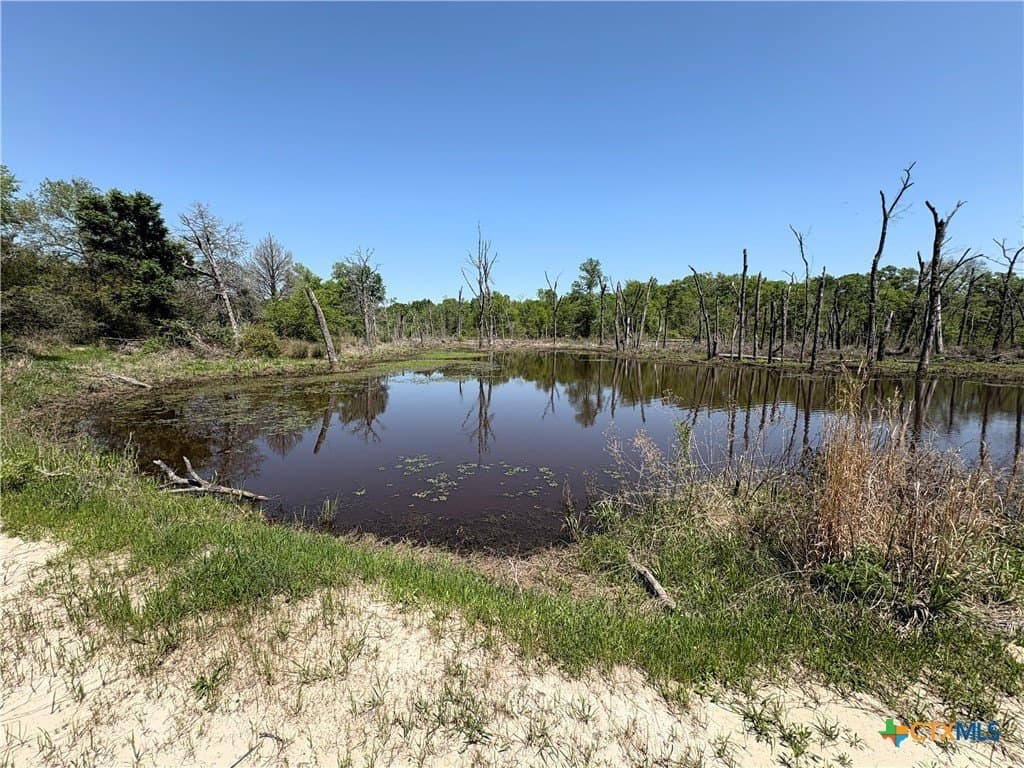 107 acres in Limestone County - photo 3