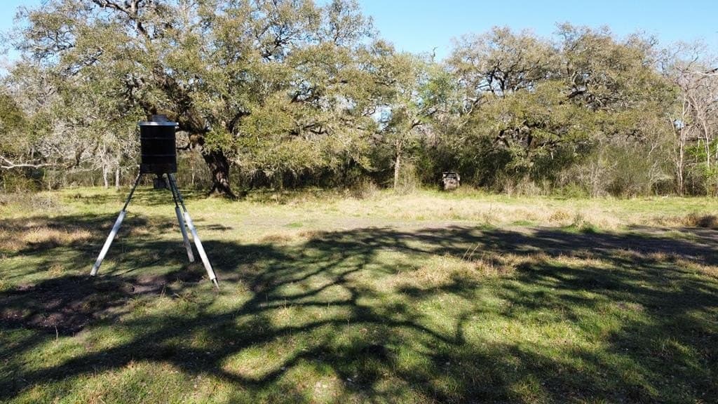 100 acres in Texas County - photo 8