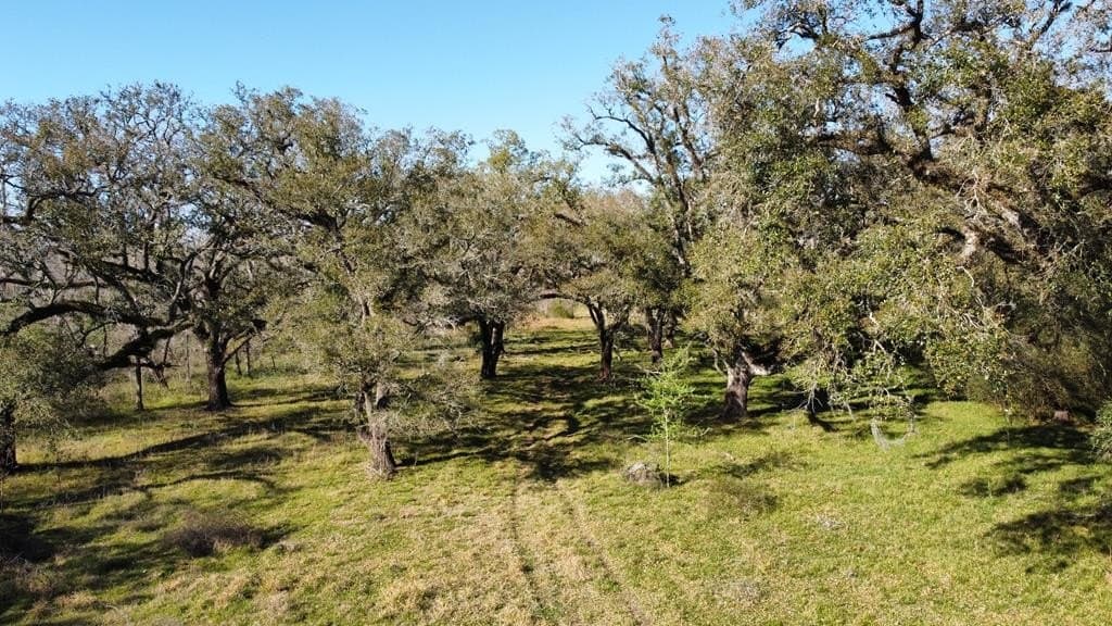 100 acres in Texas County - photo 19