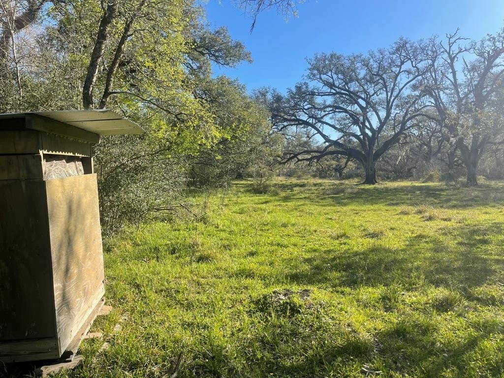 100 acres in Texas County - photo 7