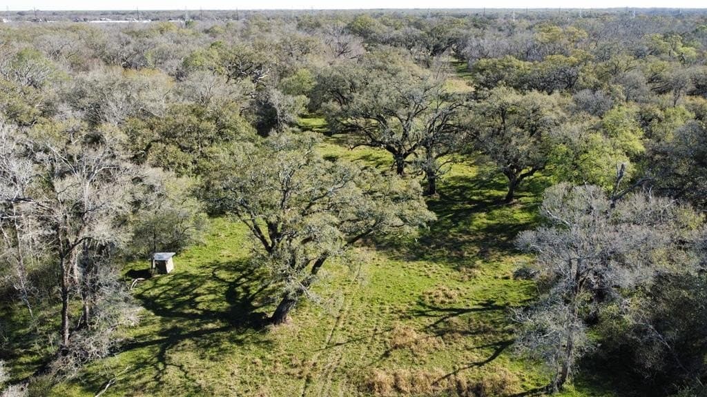 100 acres in Texas County - photo 20