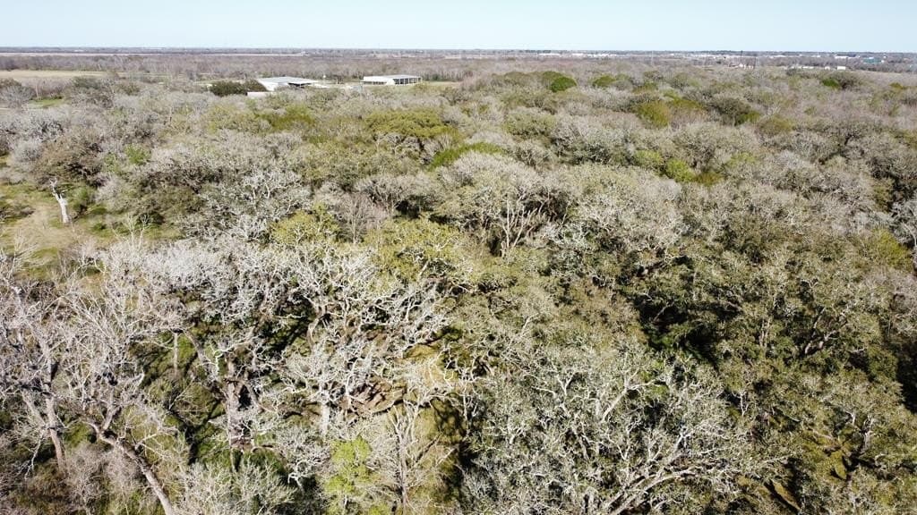 100 acres in Texas County - photo 18