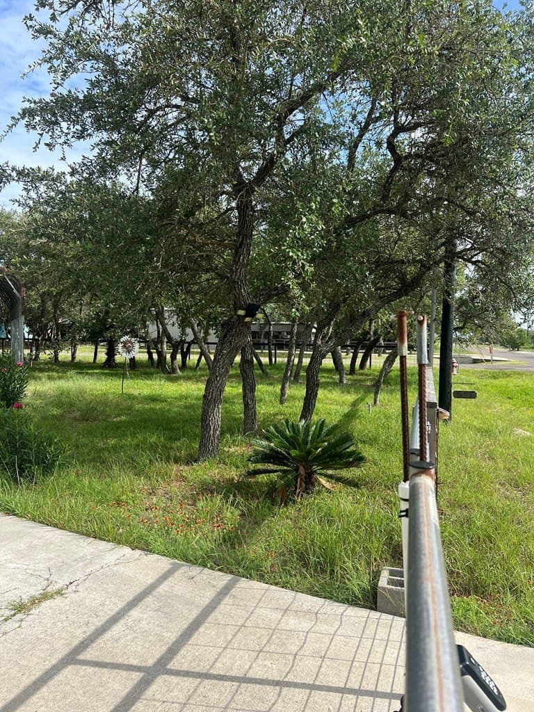 0 acres in Texas County - photo 6