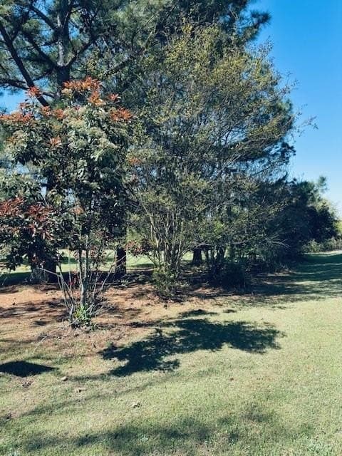 1.28 acres in Rains County - photo 6