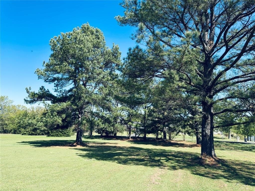 1.28 acres in Rains County - photo 5