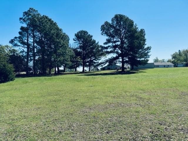 1.28 acres in Rains County - photo 7