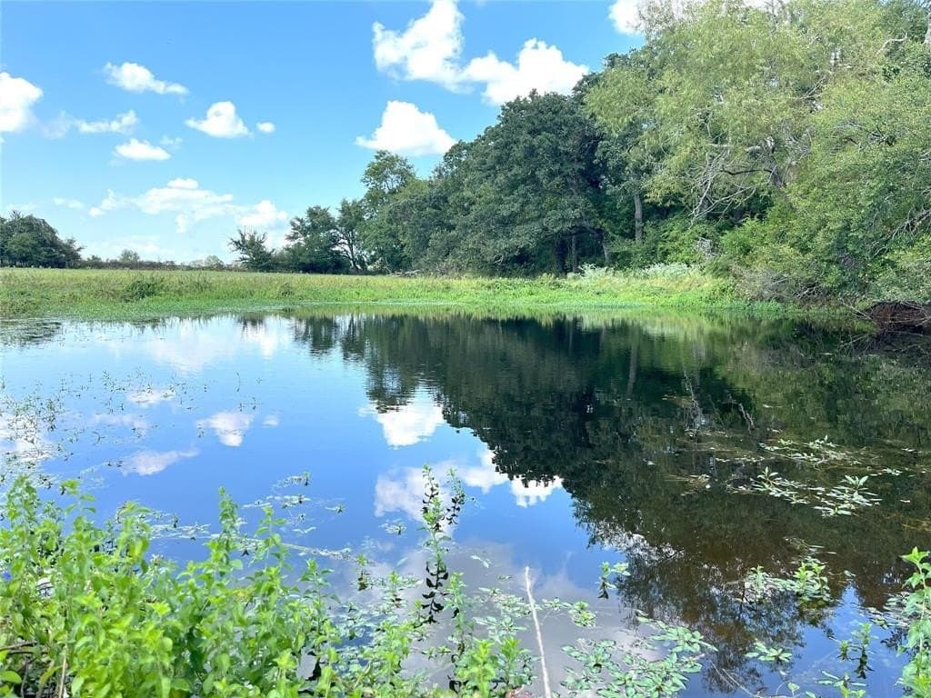 10.02 acres in Freestone County - photo 26