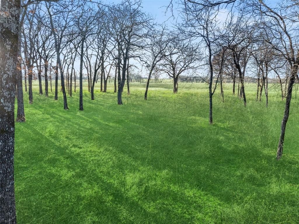 12.77 acres in Grayson County - photo 13