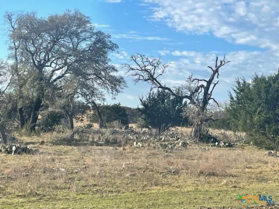 6.34 acres in Burnet County - photo 10
