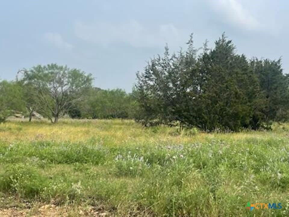 6.34 acres in Burnet County - photo 6