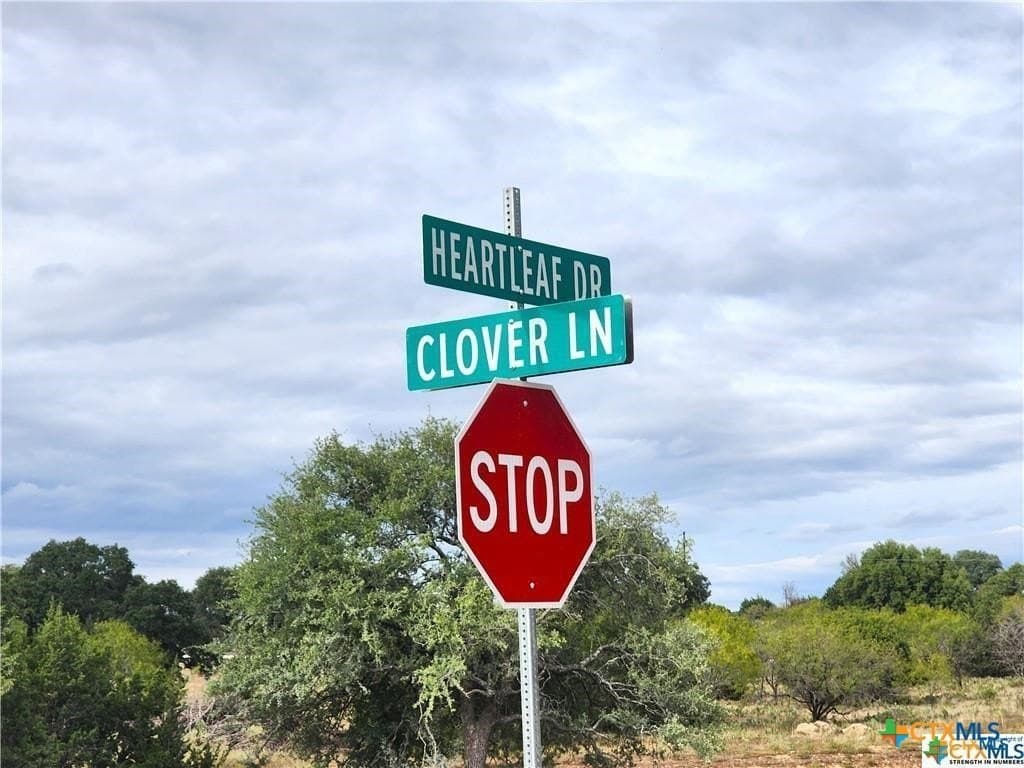 6.34 acres in Burnet County - photo 5