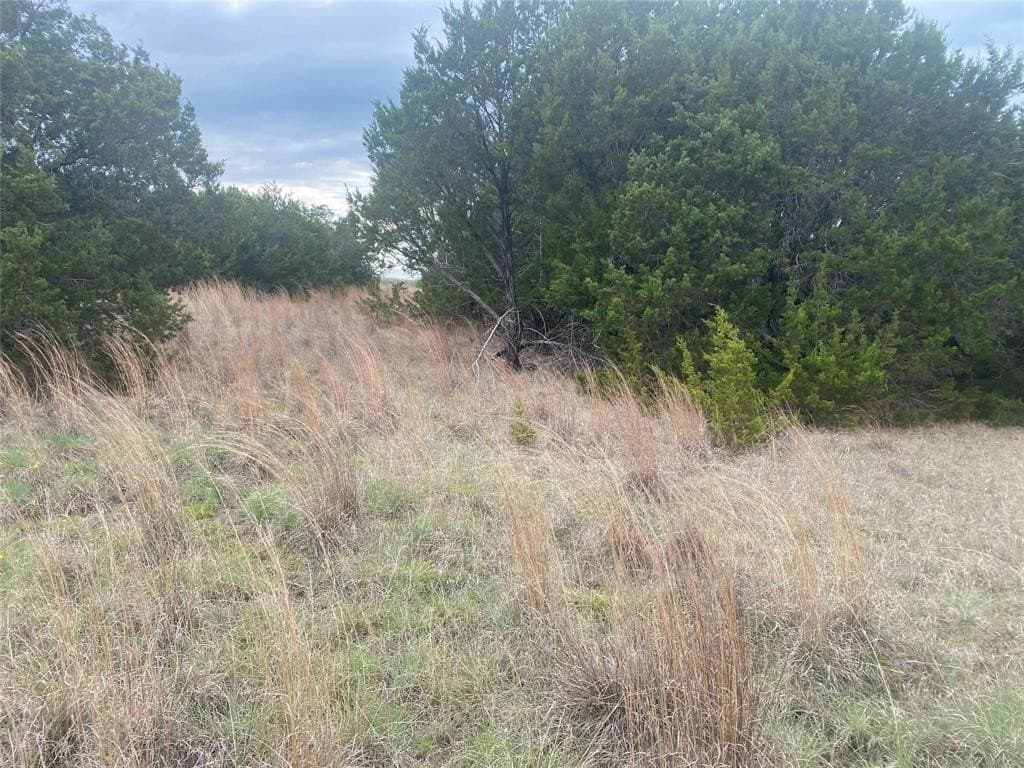 3.05 acres in Palo Pinto County - photo 5
