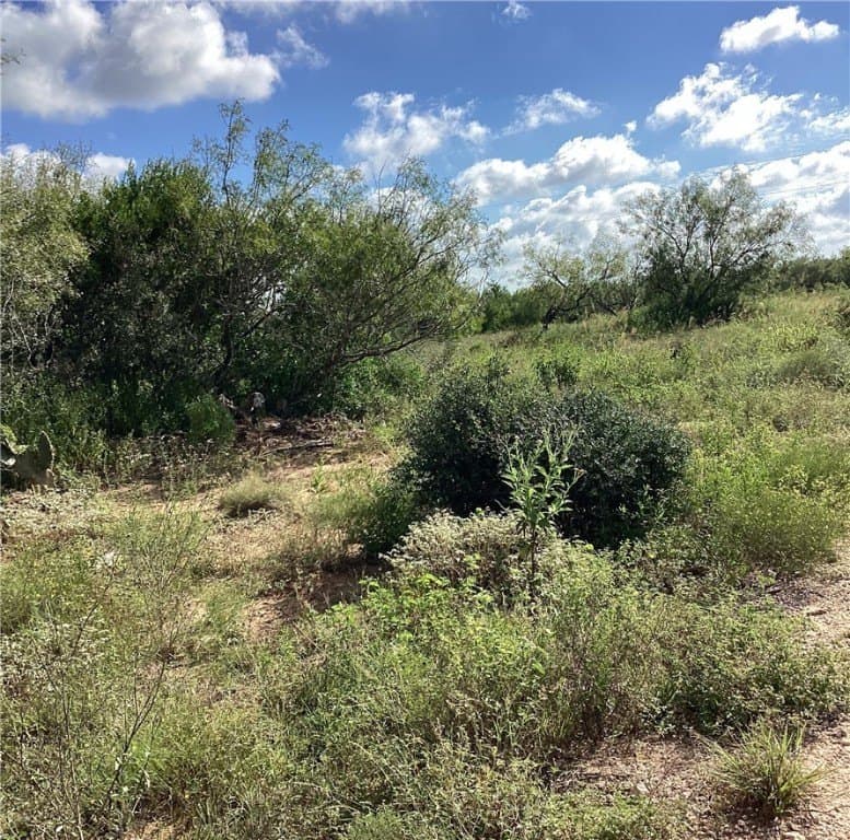 10.12 acres in Duval County - photo 4