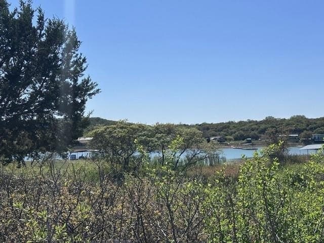 1.73 acres in Eastland County - photo 6
