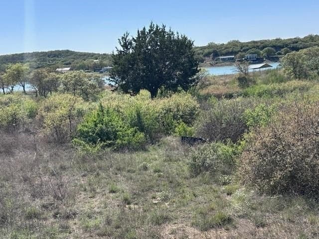 1.73 acres in Eastland County - photo 7