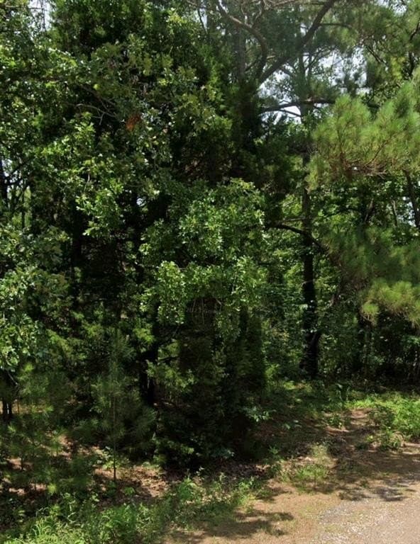 0.49 acres in Henderson County - photo 2