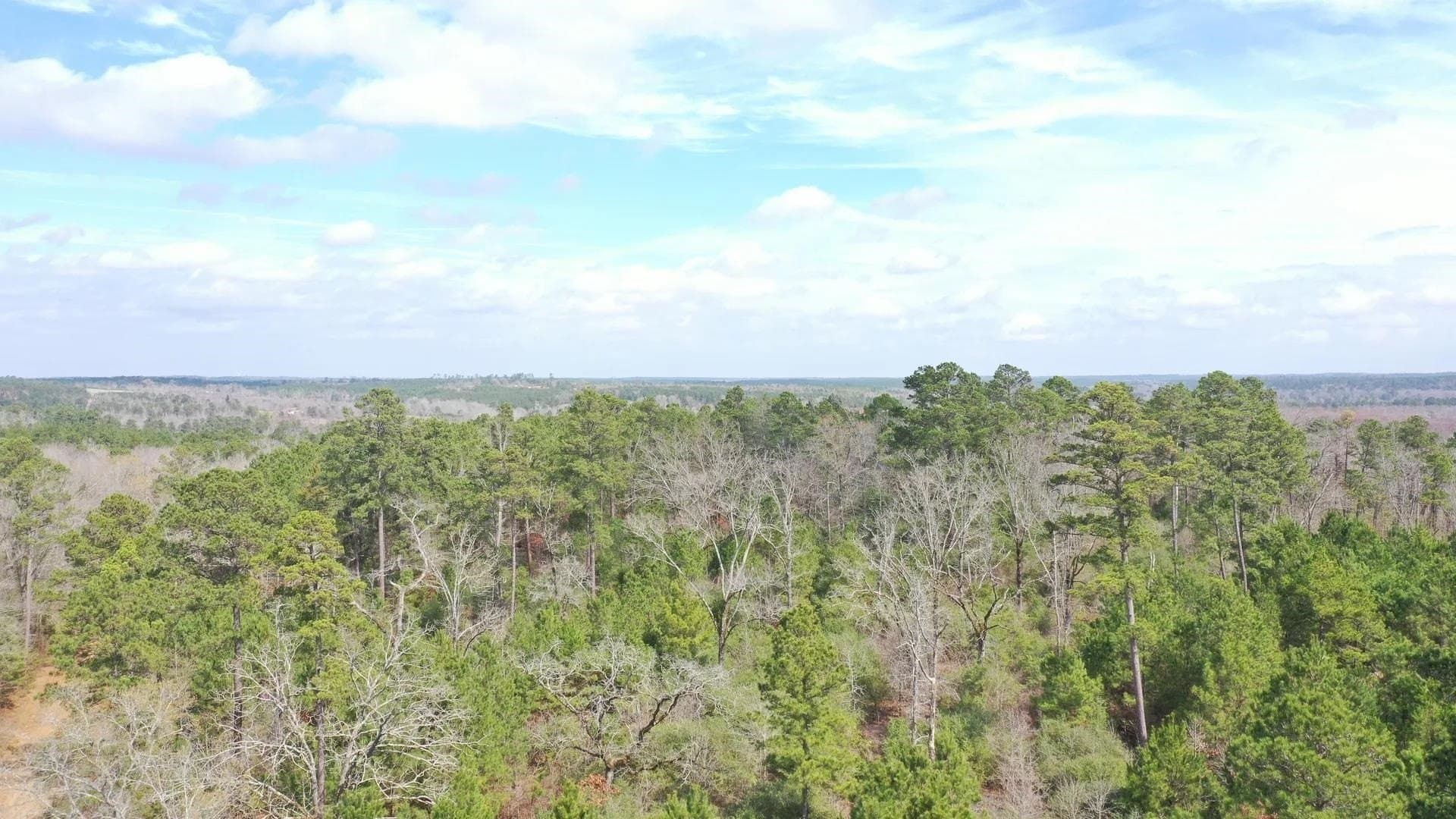 26.17 acres in Marion County - photo 3