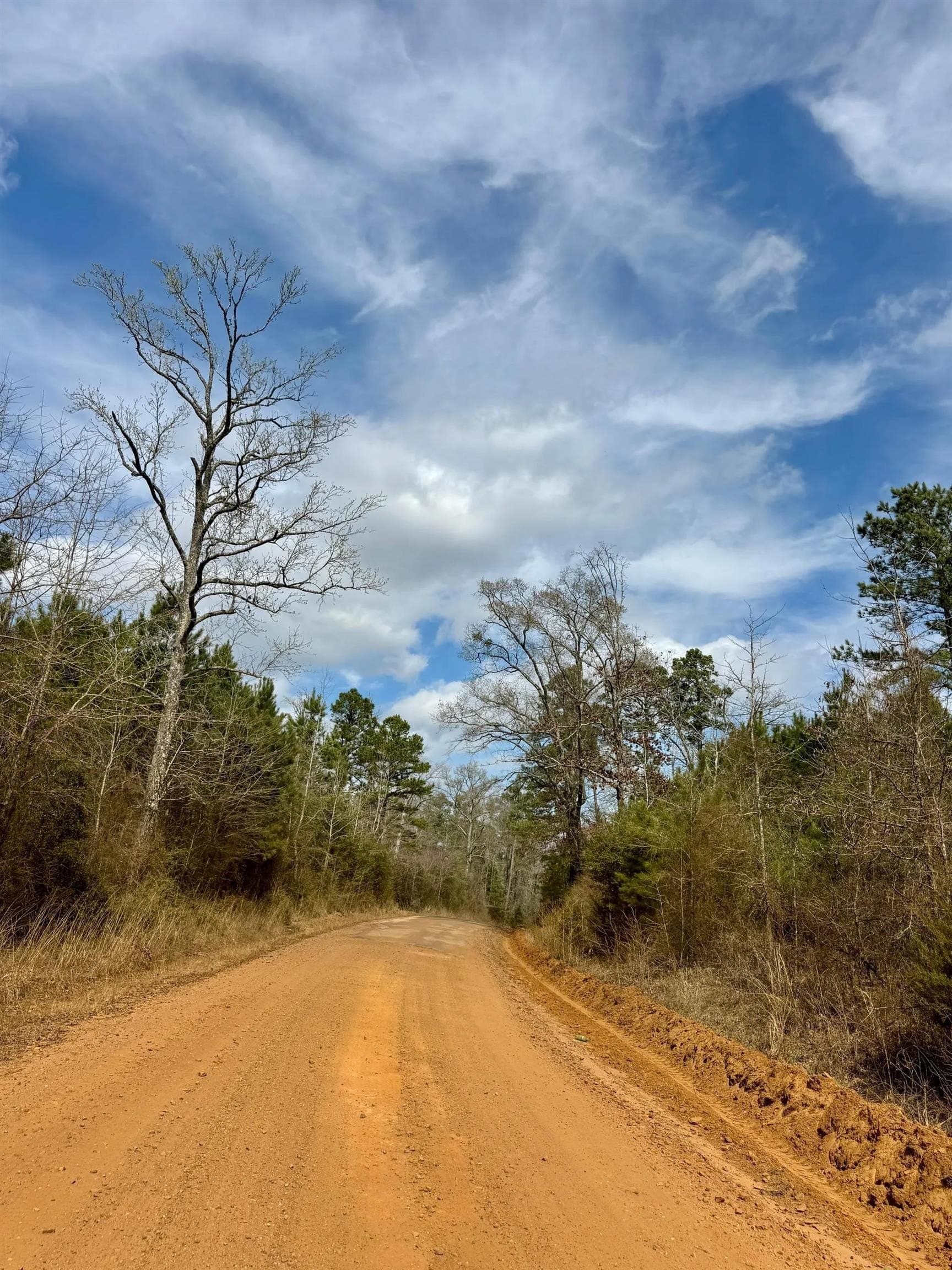 26.17 acres in Marion County - photo 15