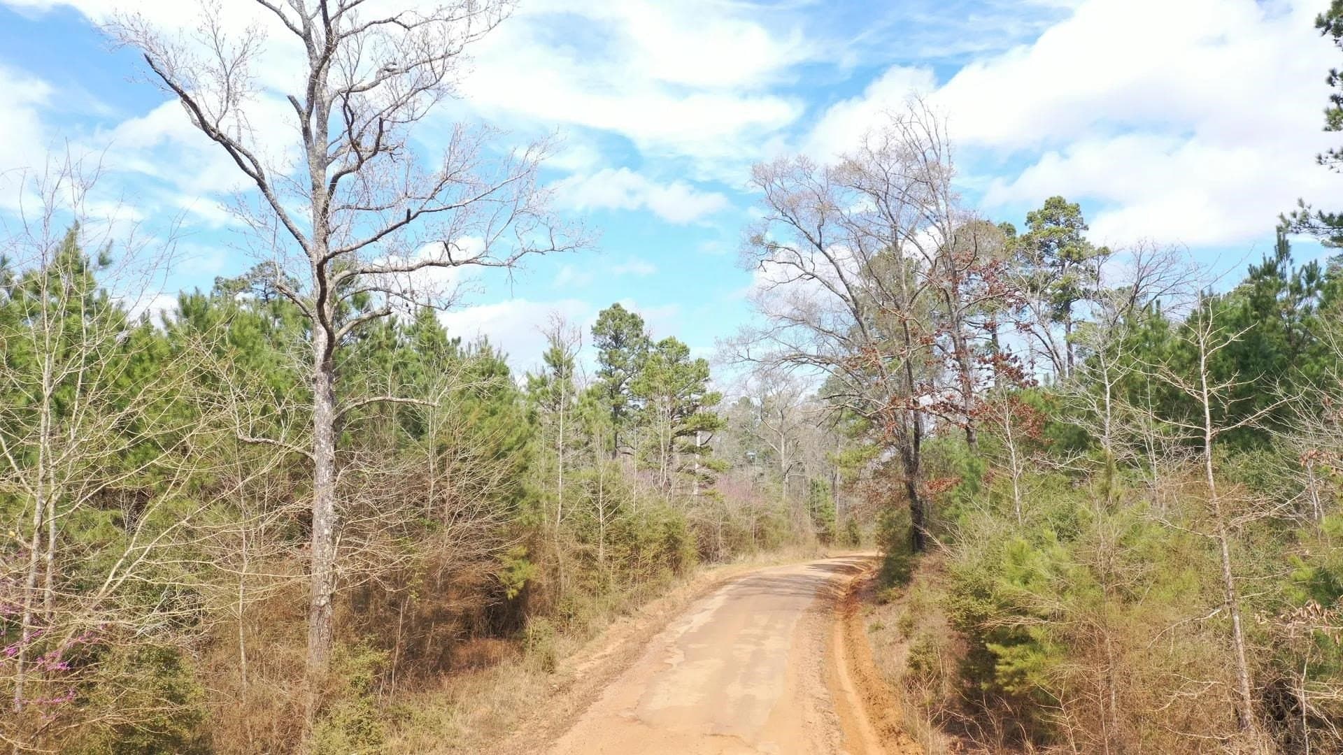 26.17 acres in Marion County - photo 2