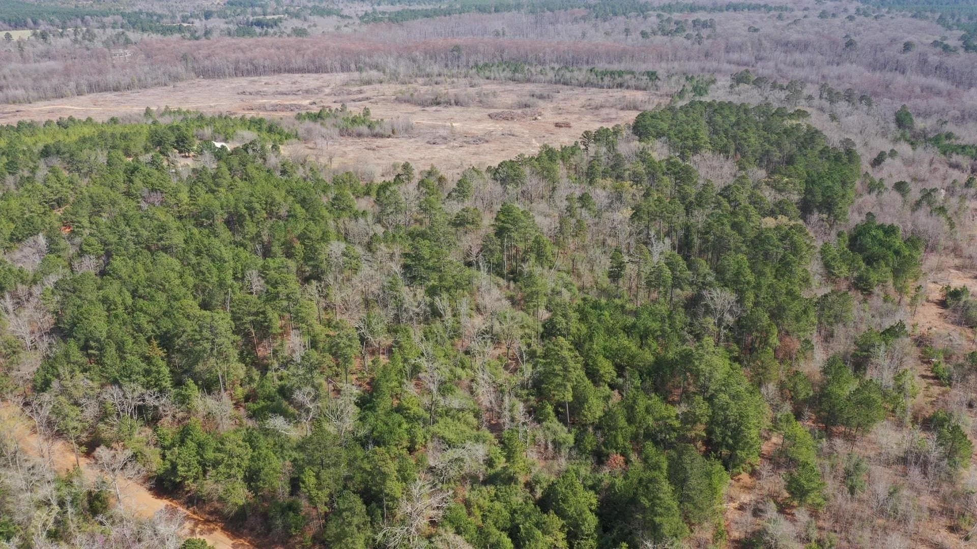26.17 acres in Marion County - photo 5