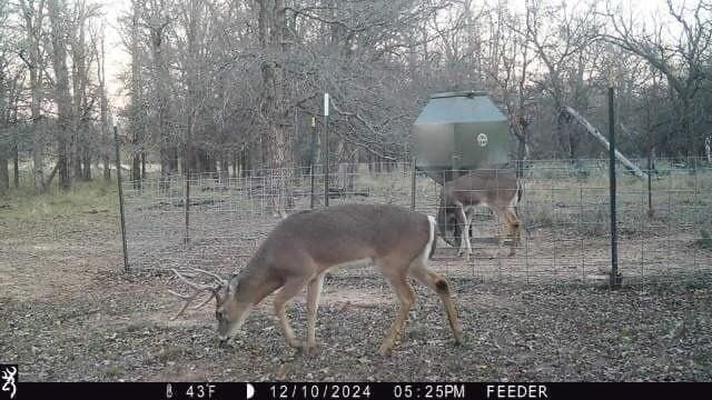 1,442 acres in Jack County - photo 11