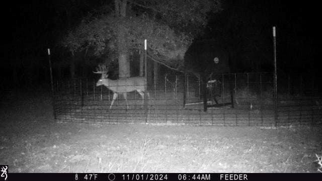 1,442 acres in Jack County - photo 27