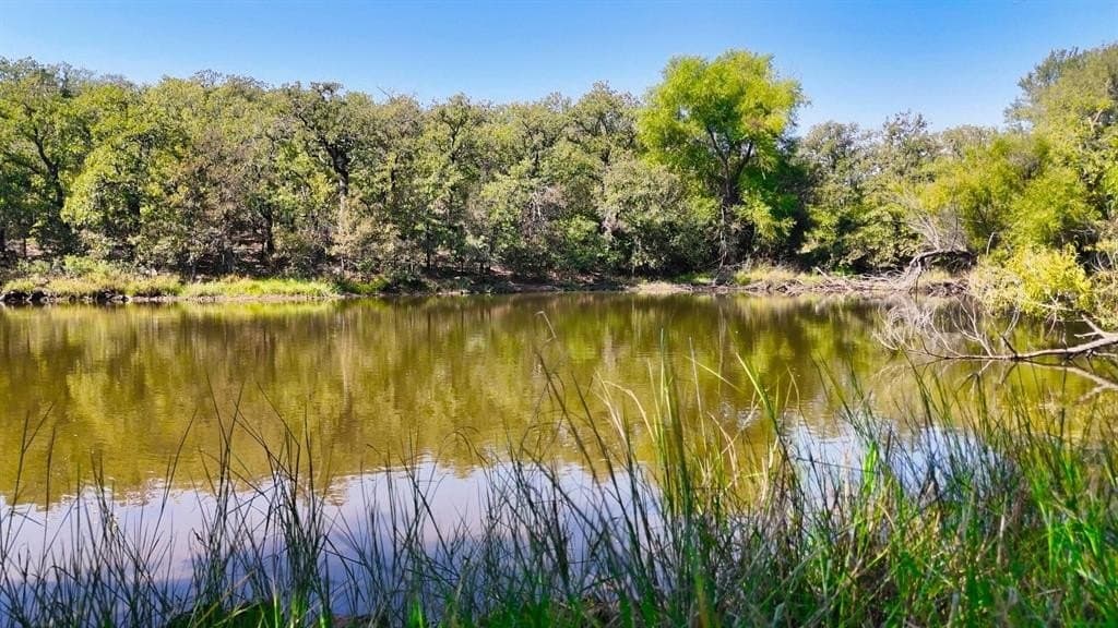 1,442 acres in Jack County - photo 14