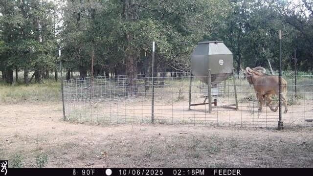 1,442 acres in Jack County - photo 39