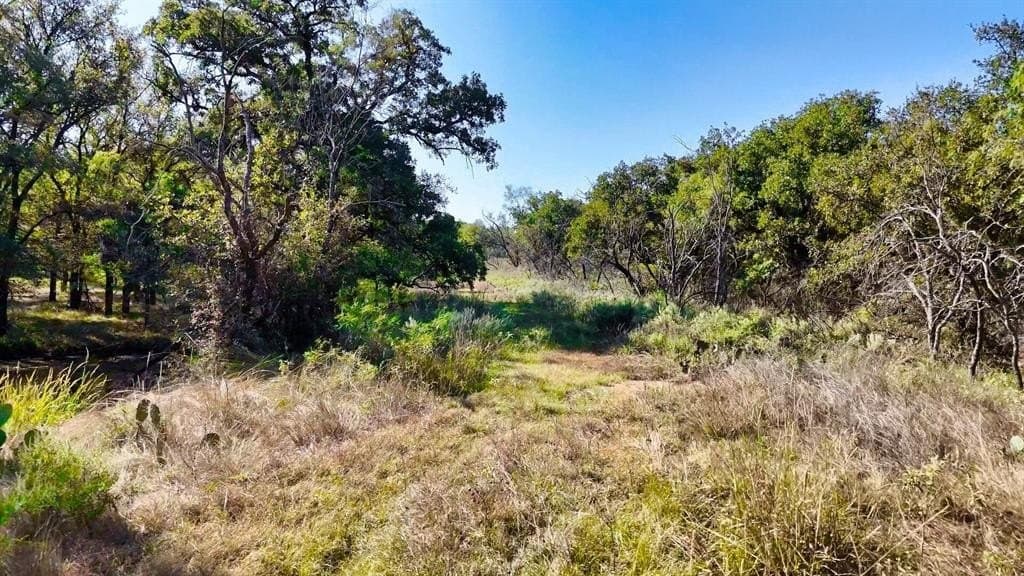 1,442 acres in Jack County - photo 12