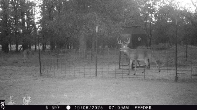 1,442 acres in Jack County - photo 35