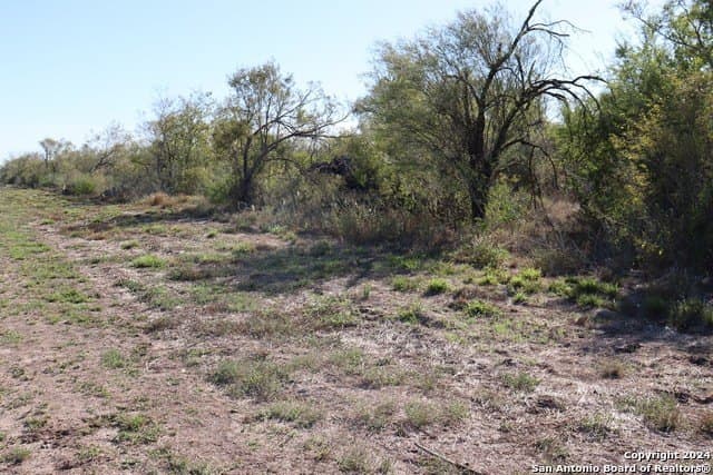 12.75 acres in Bexar County - photo 7