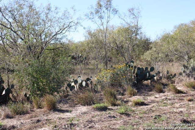 12.75 acres in Bexar County - photo 5