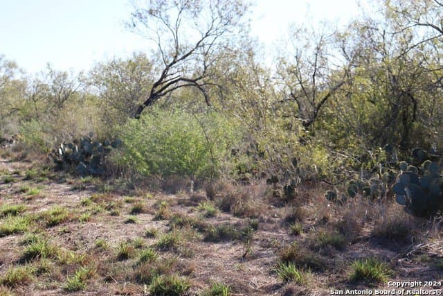 12.75 acres in Bexar County - photo 6