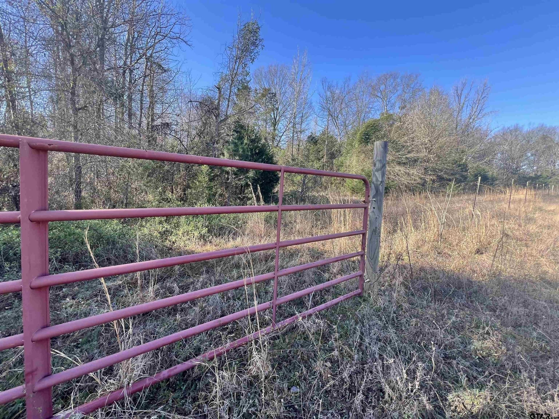 53 acres in Titus County - photo 4
