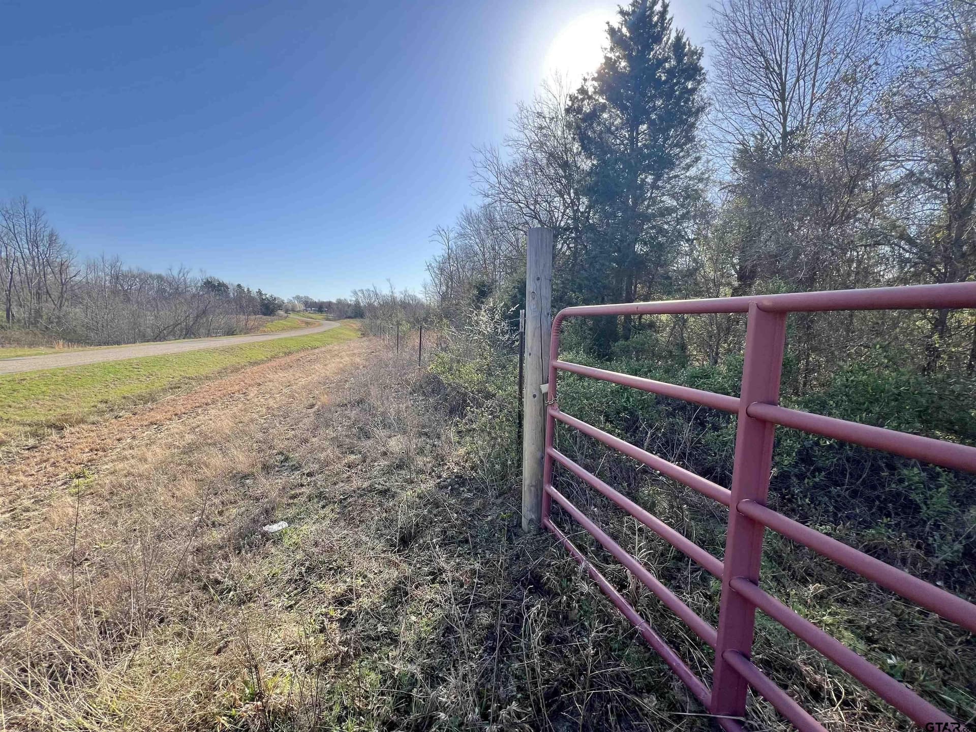 53 acres in Titus County - photo 3