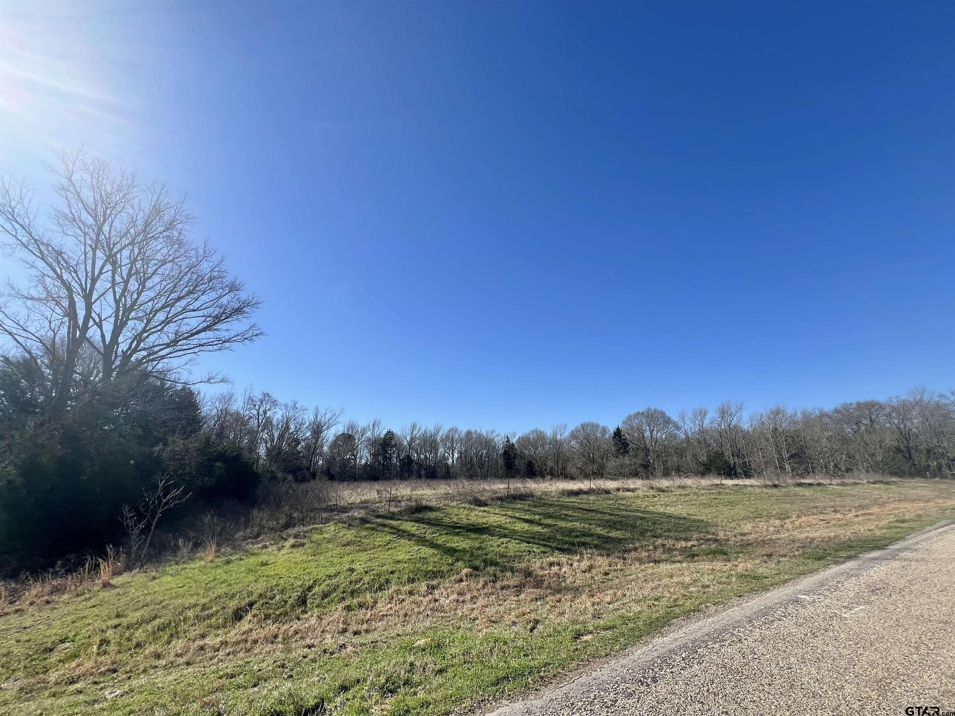 53 acres in Titus County - photo 2
