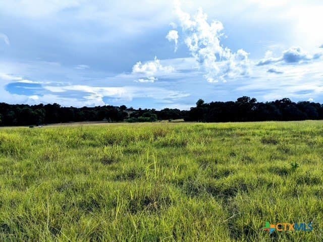 17.22 acres in Bell County - photo 4