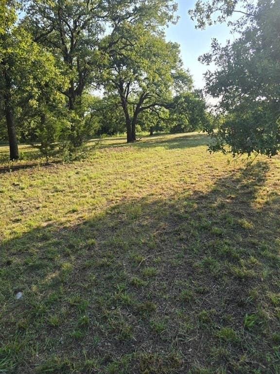 4.28 acres in Montague County - photo 7