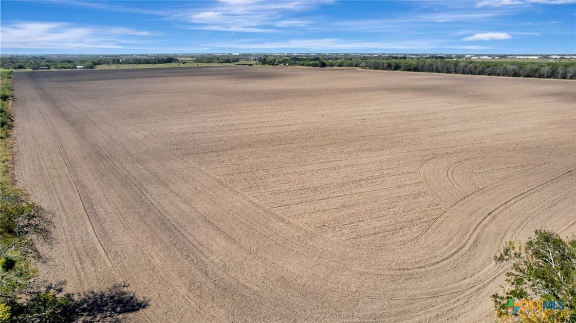 57.54 acres in Victoria County - photo 7