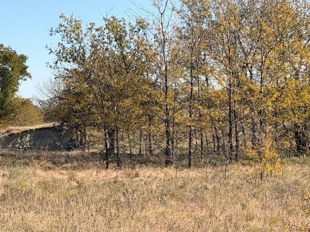124.75 acres in Denton County - photo 10